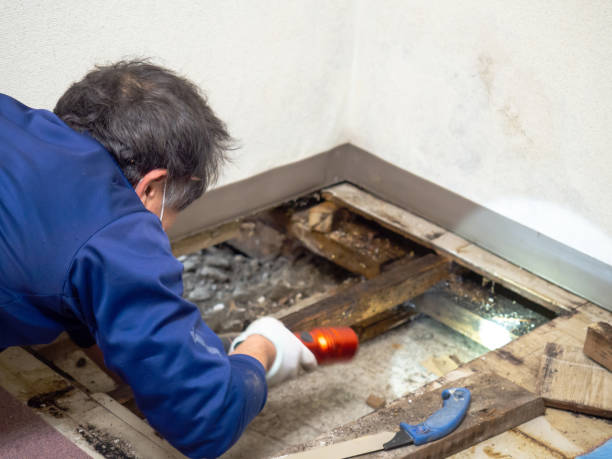Best Water Damage Restoration  in Fort Oglethorpe, GA