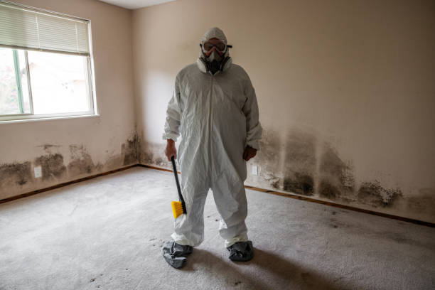 Reliable Fort Oglethorpe, GA Mold Removal Solutions